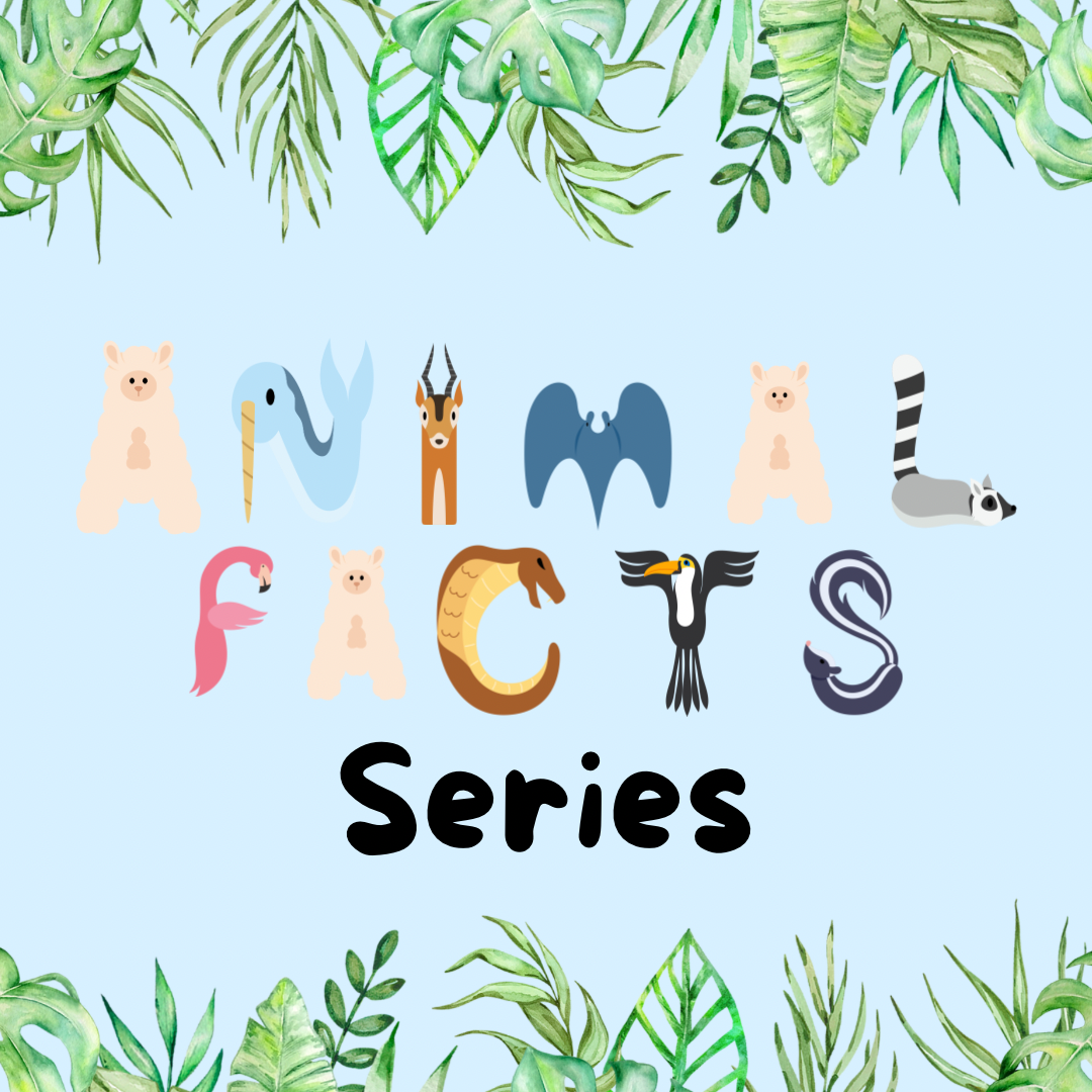 Animal Facts Series